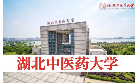 湖北中医药大学（省重点）